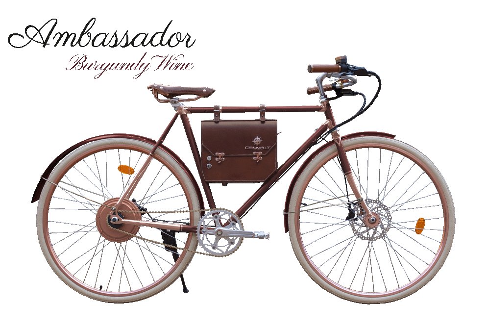 Rayolt Ambassador - Rayvolt Bike EUBikeRayvolt