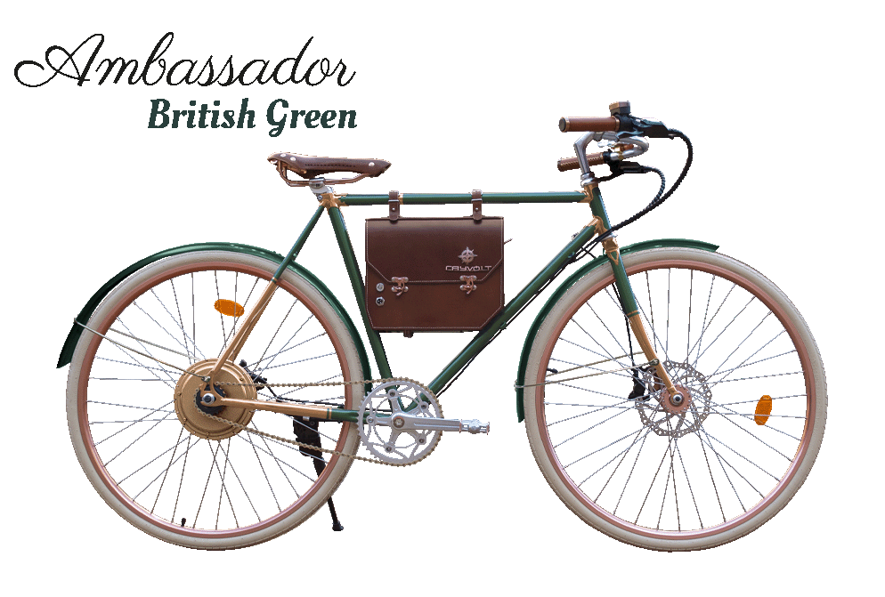 Rayolt Ambassador - Rayvolt Bike EUBikeRayvolt