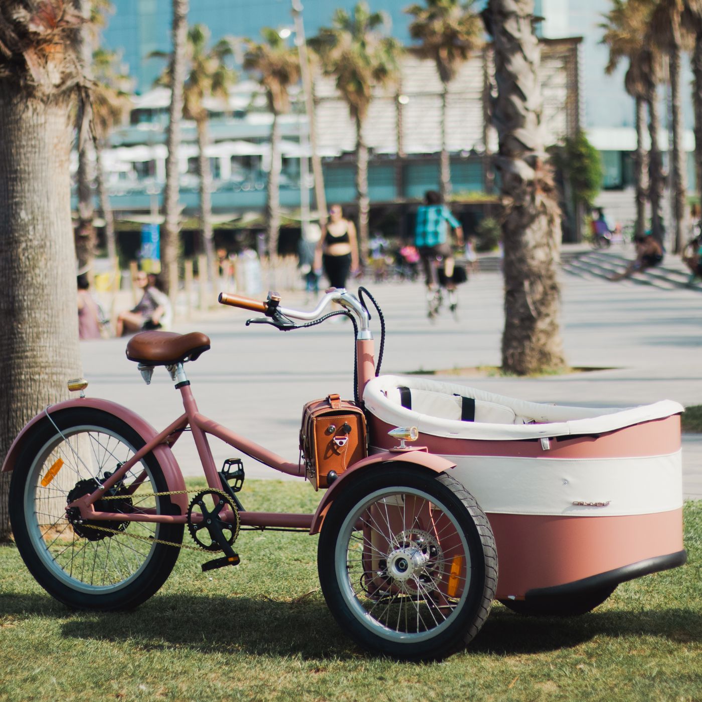 Rayvolt Trixie - Rayvolt Bike EUBikeRayvolt