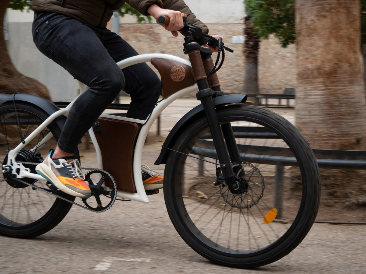 Rayvolt Solar Rayvolt Torino - Vintage-inspired Urban E-bike