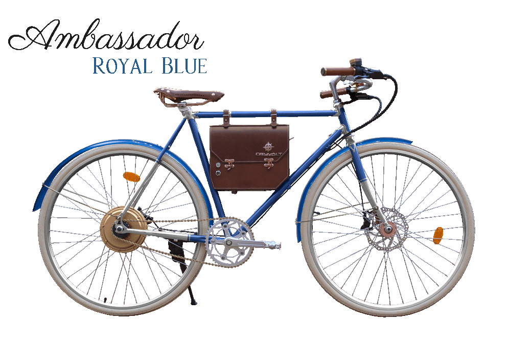 Rayolt Ambassador - Rayvolt Bike EUBikeRayvolt