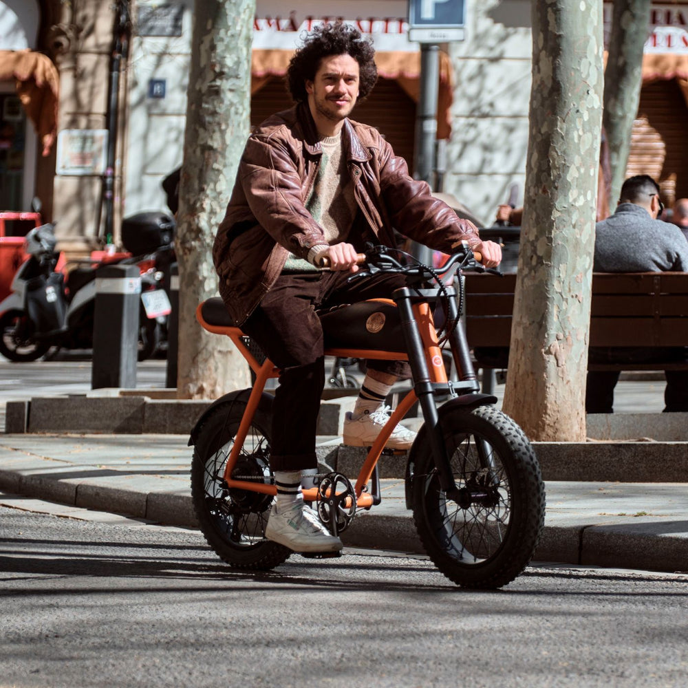 Rayvolt Solar Rayvolt Ringo - Retro Electric Bicycle for Distinctive City Commutes